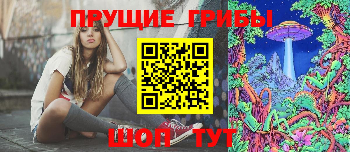 Заречный  Галлюциногенные грибы GOLDEN TEACHER  наркошоп  Вход с VPN 