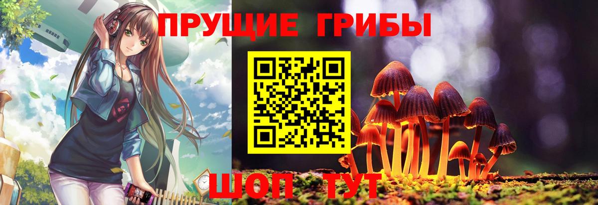 Галлюциногенные грибы MAGIC MUSHROOMS Заречный